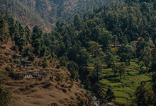 Impact for Himalayan Conservation